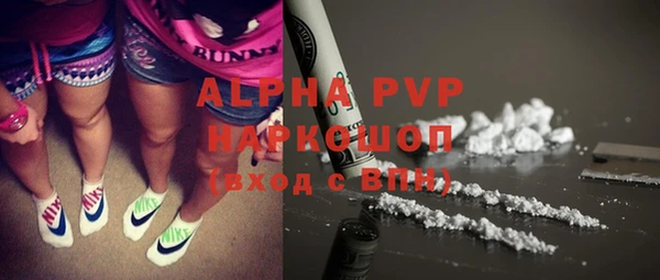 спиды Богородицк