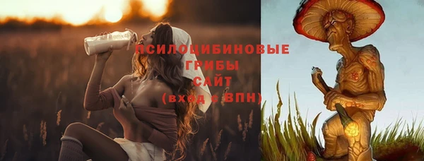 прущая мука Богородск