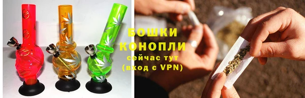 спиды Богородицк