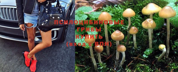прущая мука Богородск