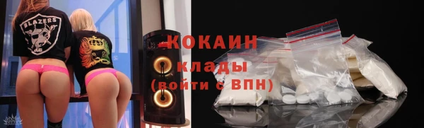 спиды Богородицк