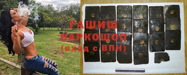 спиды Богородицк