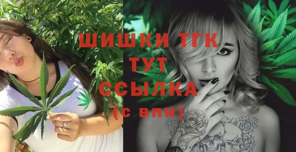 метамфетамин Богданович