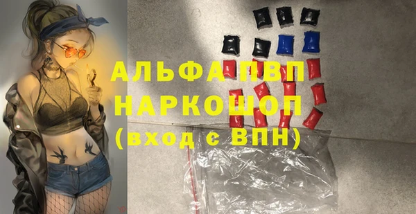 спиды Богородицк