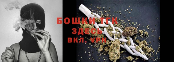 спиды Богородицк