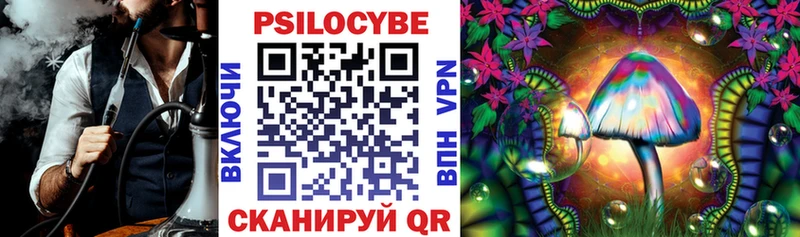 shop наркотические препараты Улан-Удэ Псилоцибиновые грибы Psilocybine cubensis